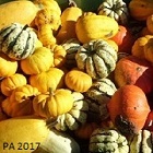 Une brouette de courges de formes et de couleurs variées.