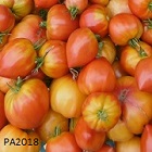 Cageot de tomates rouges et oranges.