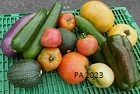 Ensemble de légumes d'été, tomates, courgettes, concombres, aubergine, poivron.